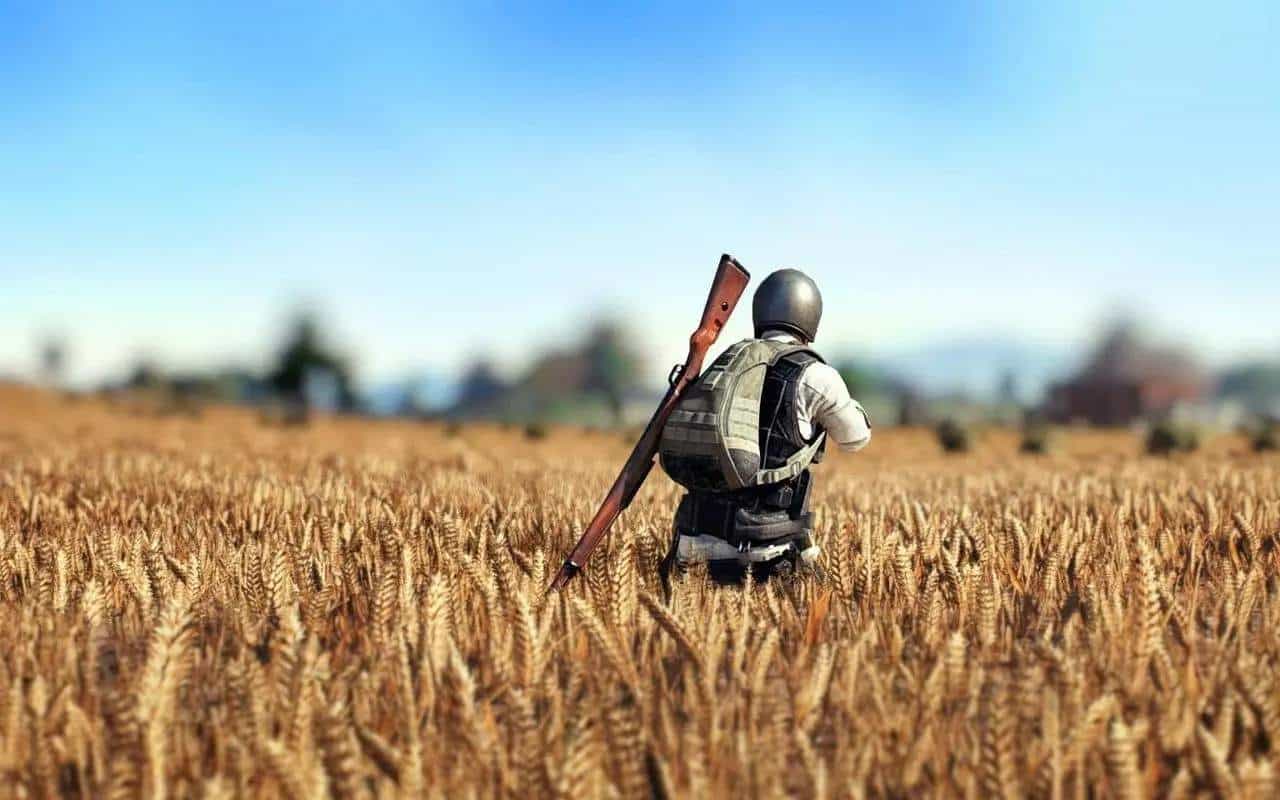 电脑版辅助：终极生存体验